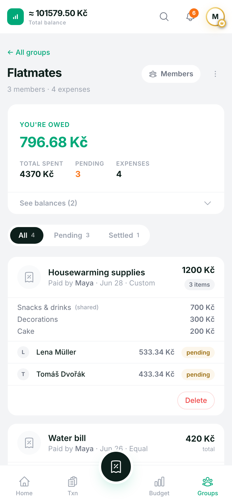 Group expense splitting